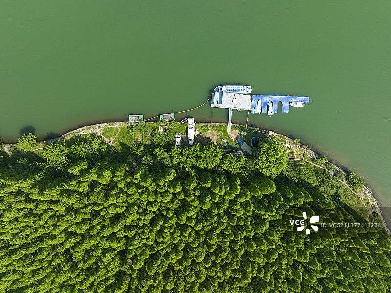 航拍襄阳汉江水杉树林码头城市自然风景图片素材