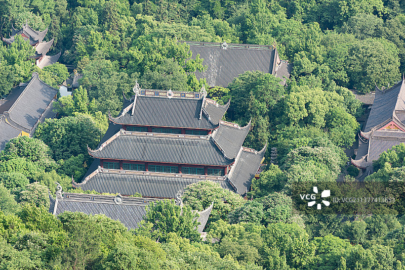 浙江杭州西湖春天夏天茶园绿色图片素材