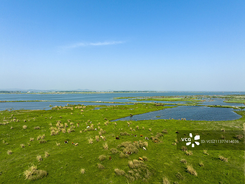航拍襄阳宜城汉江万洋洲国家湿地公园自然风光图片素材