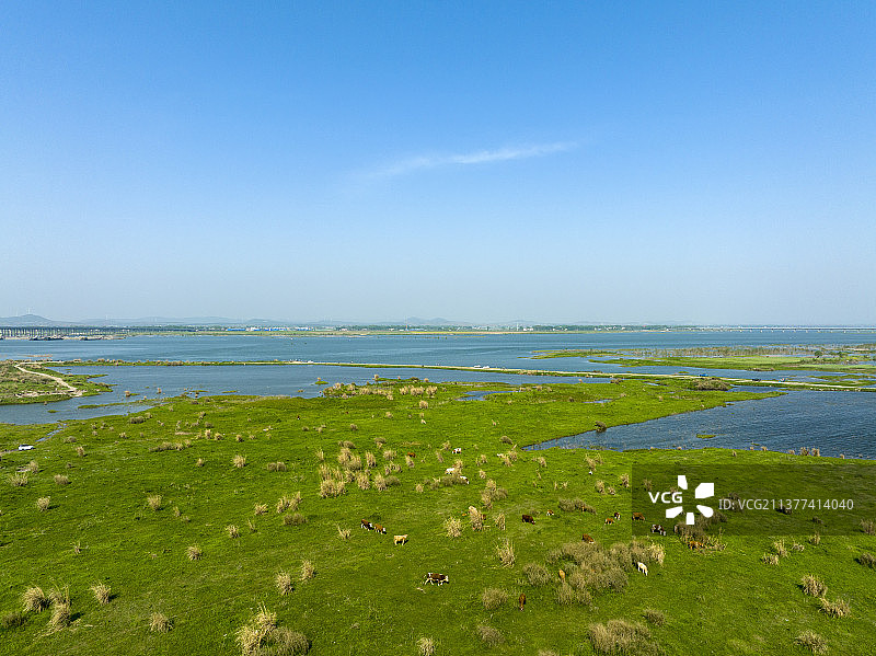 航拍襄阳宜城汉江万洋洲国家湿地公园自然风光图片素材