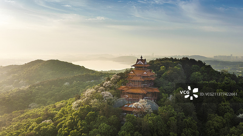 武汉楚天台春天的那些花儿图片素材