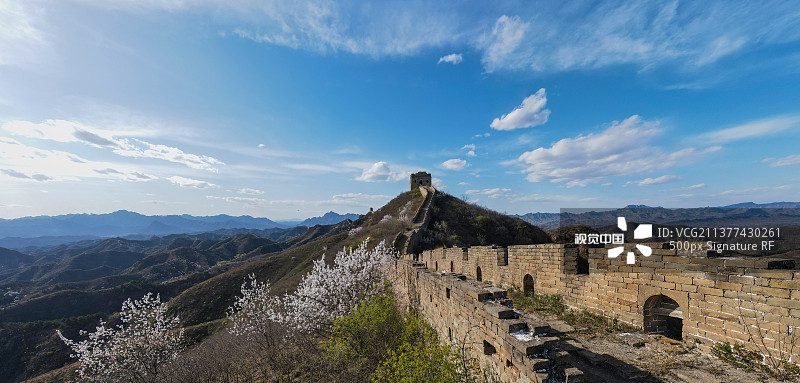 长城春日杏花盛开图片素材