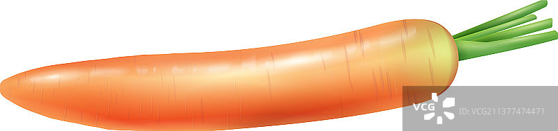 逼真胡萝卜图片素材