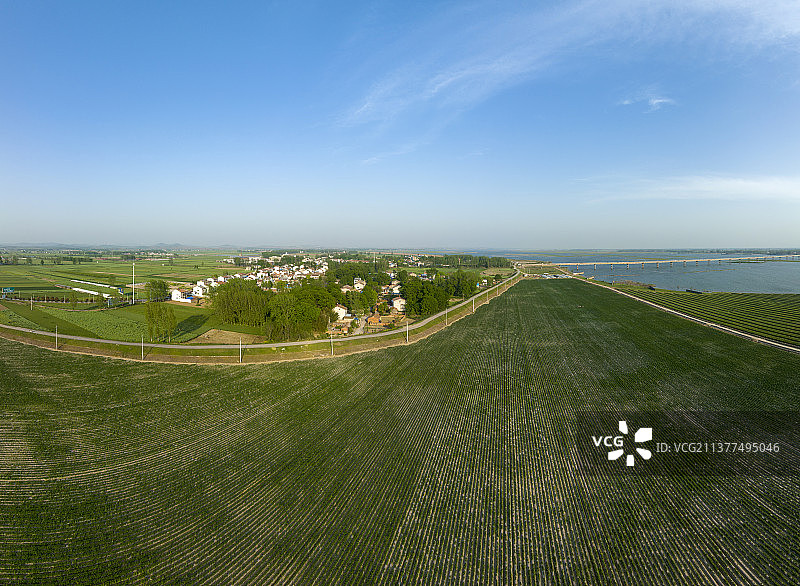 航拍襄阳宜城汉江万洋洲土豆种植基地农业自然风光图片素材