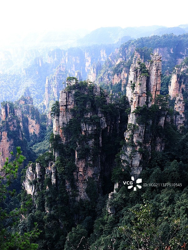 奇峰竞秀张家界图片素材