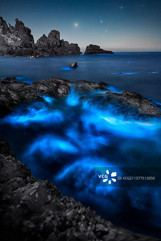 《蓝色幽梦》图片素材