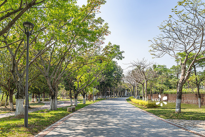 厦门园博苑厦门园博园图片素材