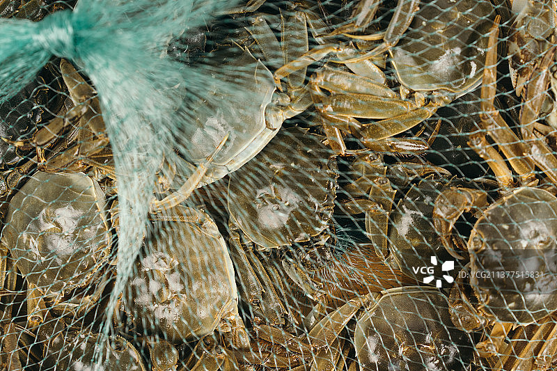 一袋生的螃蟹图片素材