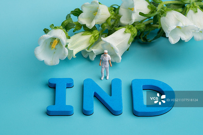 IND护士节鲜花和护士微缩创意图片素材