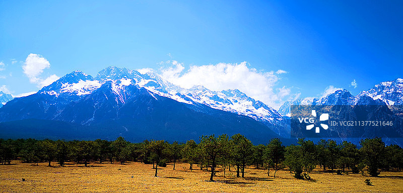 甘海子远眺玉龙雪山图片素材