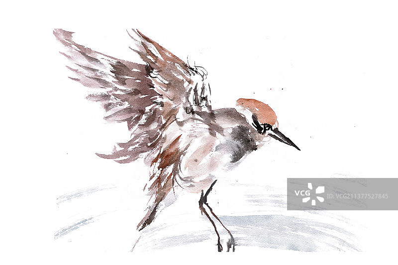 展翅飞翔的小鸟图片素材