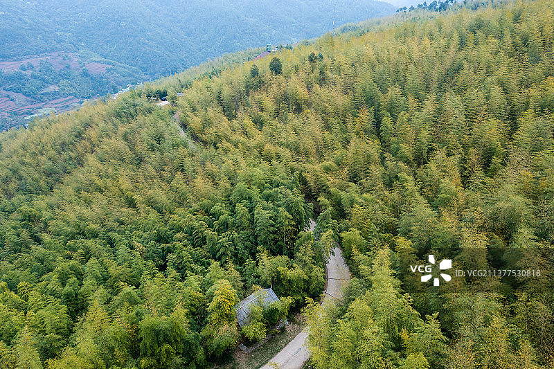 云南省玉溪市峨山县彝人竹海风景区图片素材