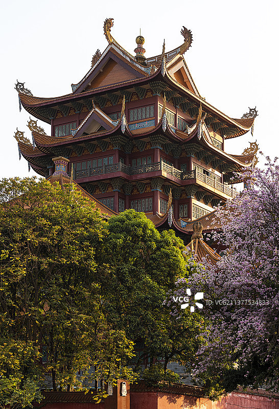 五百罗汉堂图片素材