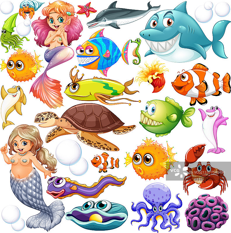 各种海洋动物图片素材