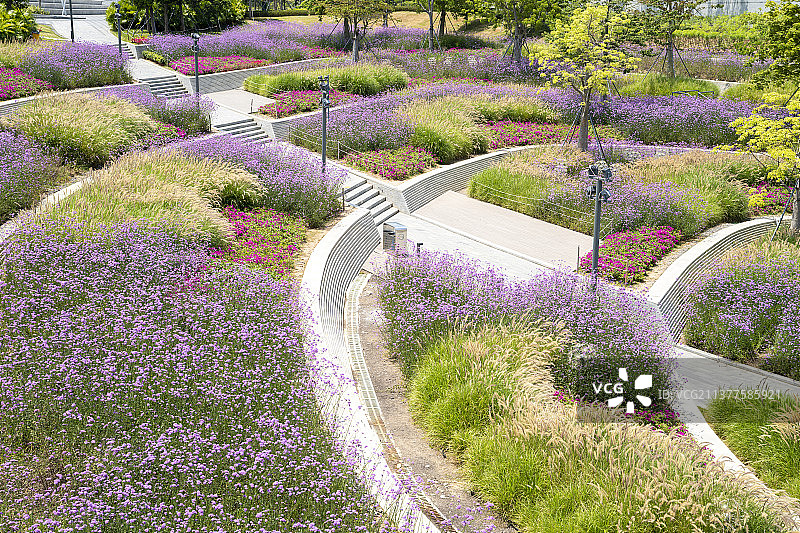 深圳前海欢乐海岸花园自然风光图片素材