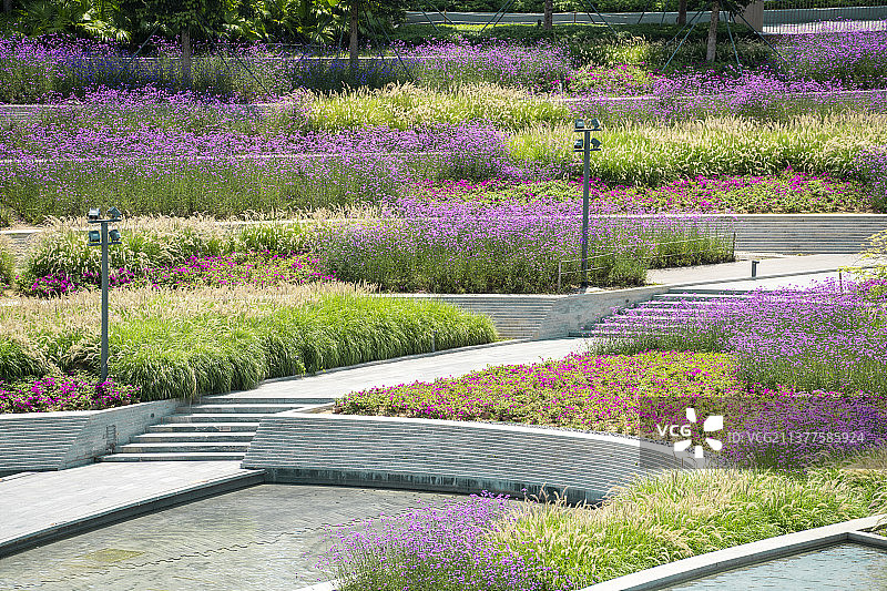 深圳前海欢乐海岸花园自然风光图片素材