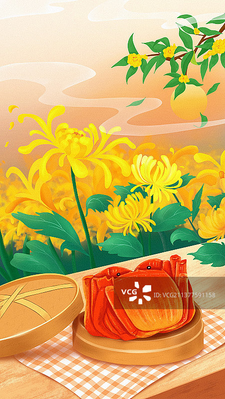秋分菊花螃蟹插画图片素材