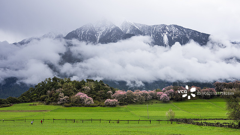 旅游代理商雪山风景汽车广告背景图壁纸图片素材