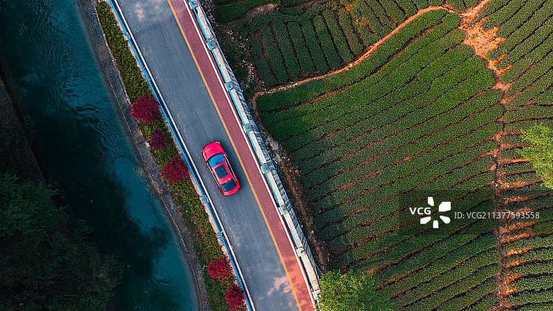 茶园 航拍 公路 汽车图片素材