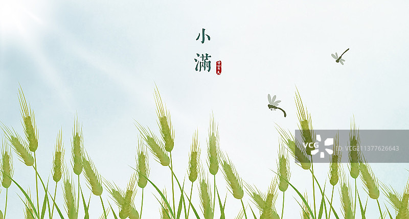 小满节气中国风插画图片素材