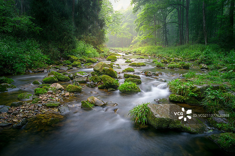 张家界金鞭溪图片素材