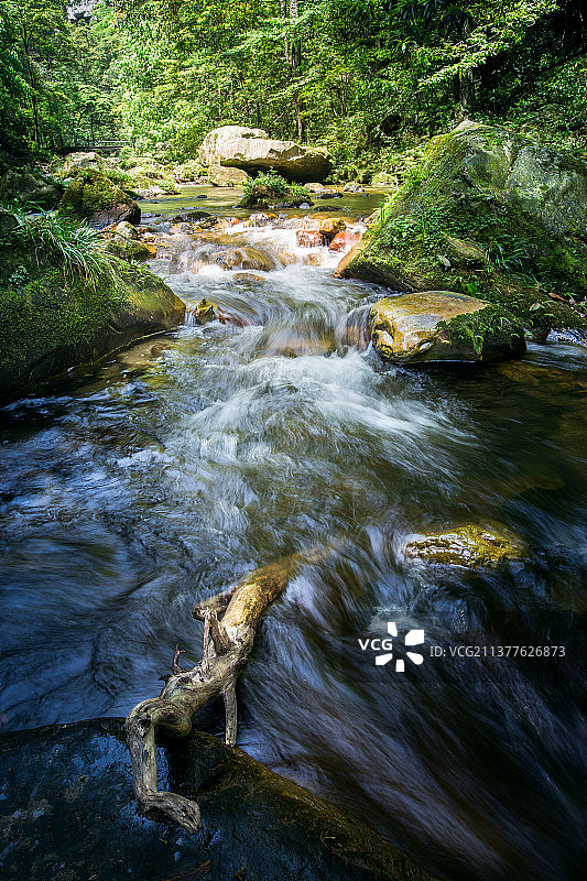 张家界金鞭溪图片素材