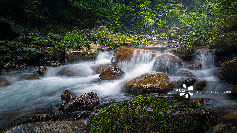 张家界金鞭溪图片素材