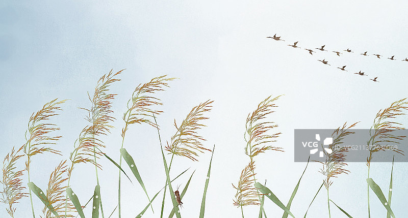 白露二十四节气中式插画图片素材