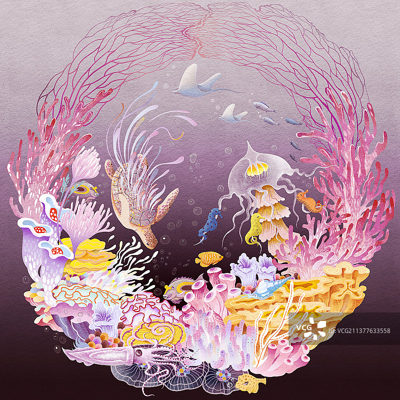 珊瑚乐园图片素材