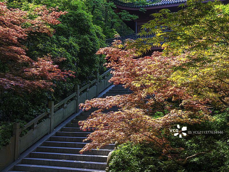 500多年前的“杭州名校” —— 万松书院图片素材