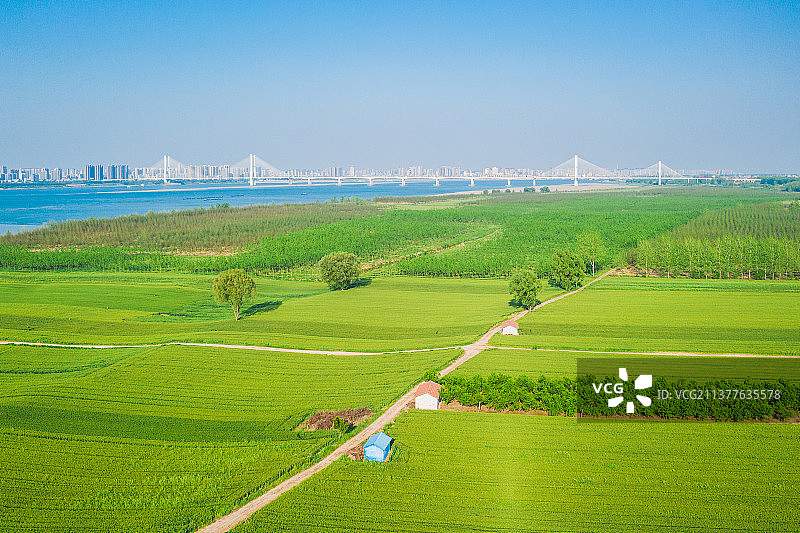 荆州江汉平原麦田图片素材