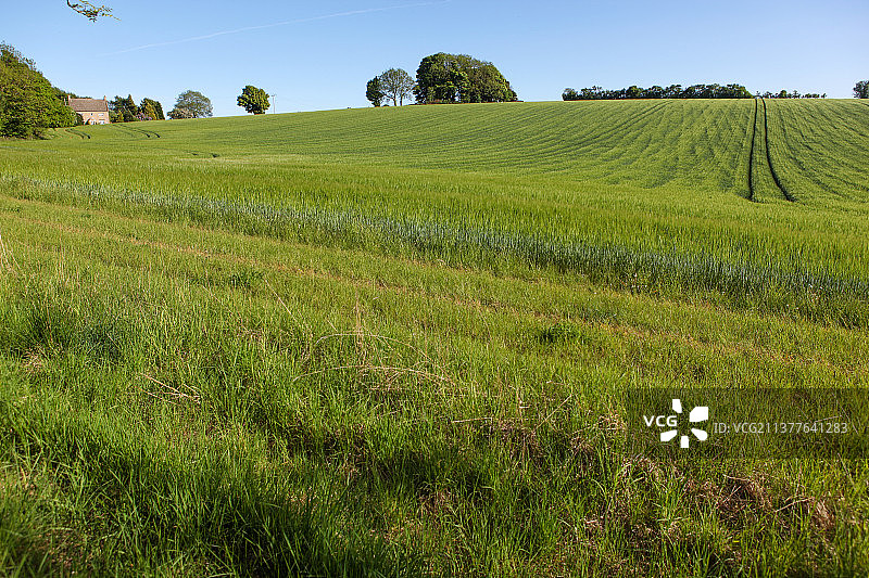 欧洲英国乡村小镇教堂建筑山间田园风光图片素材