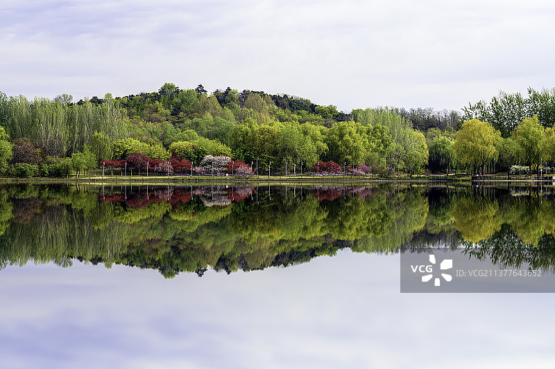 奥林匹克森林公园风光图片素材