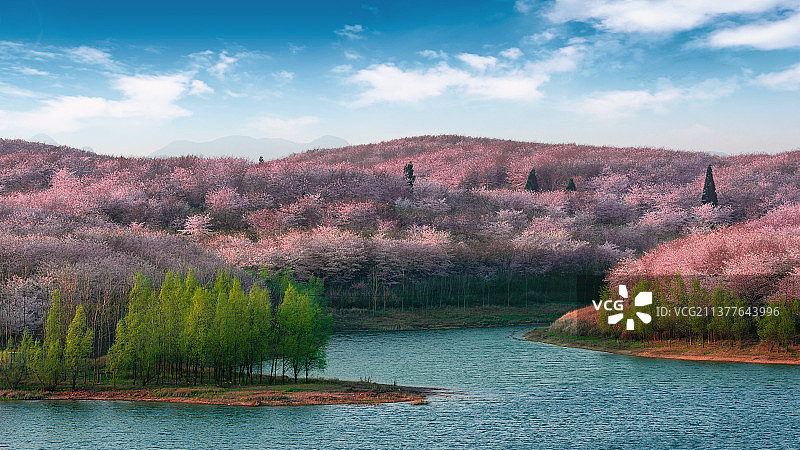 平坝樱花园图片素材