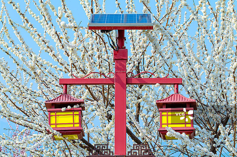 中国太阳能设备拍摄主题，一个太阳能电池板和一个古典式路灯，背景白色的樱花，户外无人图像摄影图片素材