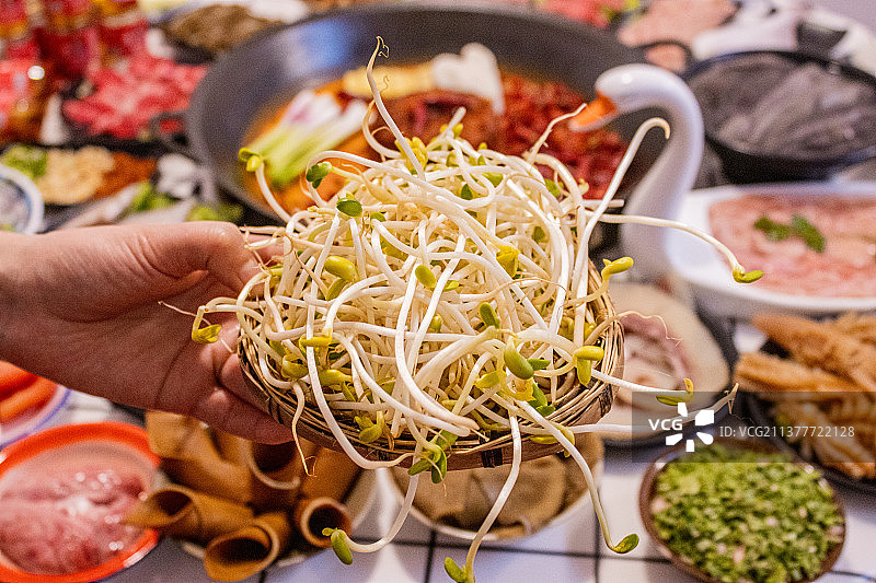 黄豆芽图片素材