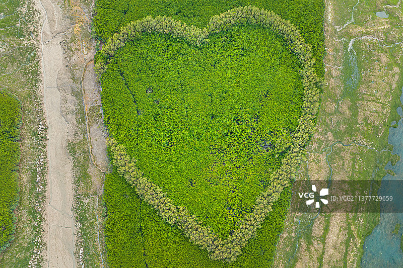 厦门翔安下潭尾滨海湿地公园心形爱心图案航拍图片素材