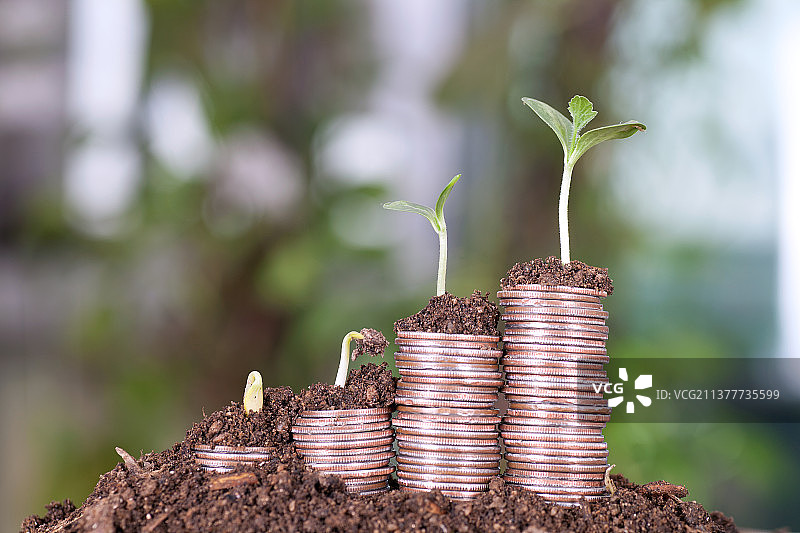 土壤里冒出一堆递增的美元硬币且硬币上都长出嫩芽图片素材