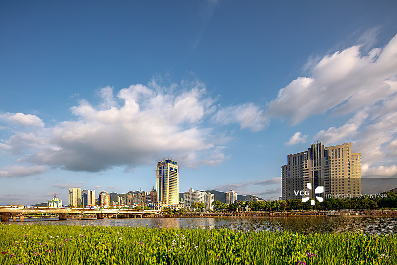 春天蓝天白云下的永宁江㫠的绿色生态图片素材