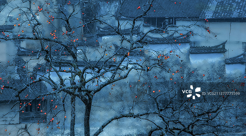 秋韵2014年于福建屏南图片素材