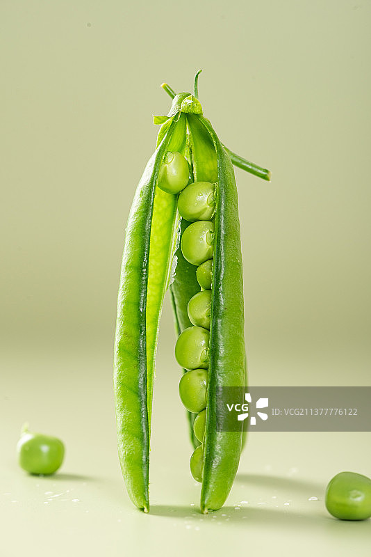 豌豆图片素材