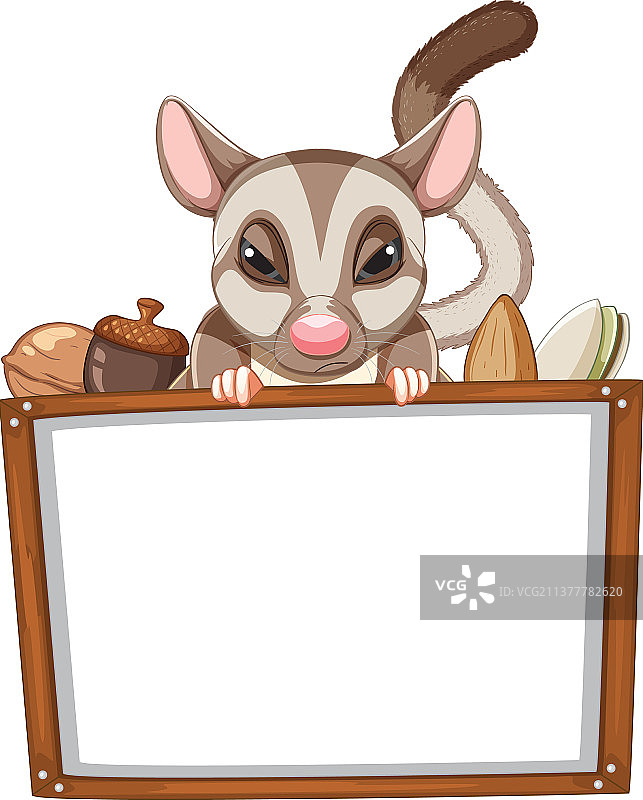 带有蜜袋鼯和坚果的板模板图片素材