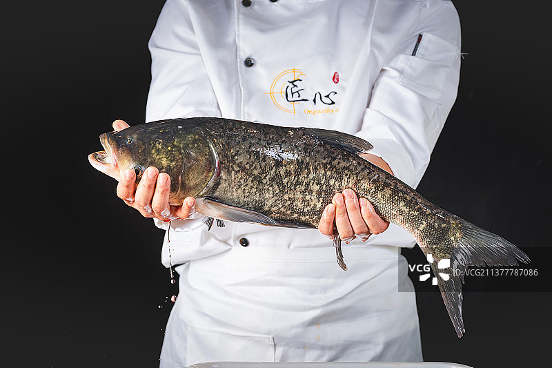 石锅鱼 鱼火锅 整条鱼 鱼片 成都美食 四川美食 重庆火锅图片素材