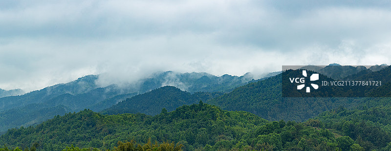 重庆缙云山云雾下的原始森林图片素材