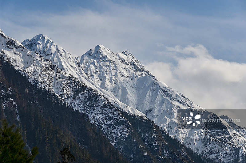 嘎隆拉山林图片素材
