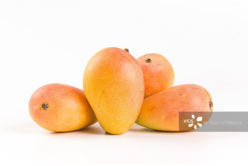 白底上得小芒果台芒图片素材