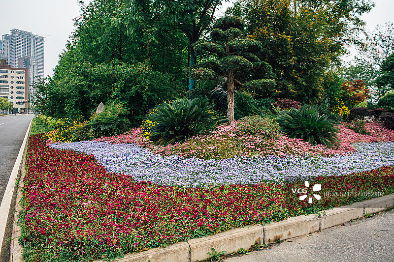 武汉汉阳晴川大道图片素材
