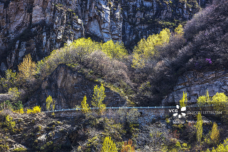 春日云蒙山（生机）图片素材