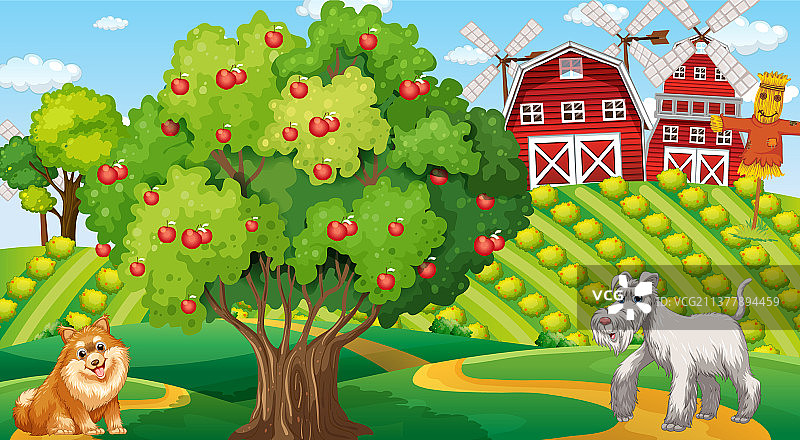 农场里的一组不同家畜图片素材