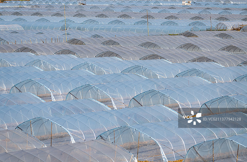 西瓜大棚图片素材